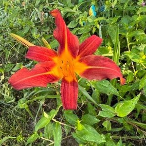 Meet your Posher, Sue